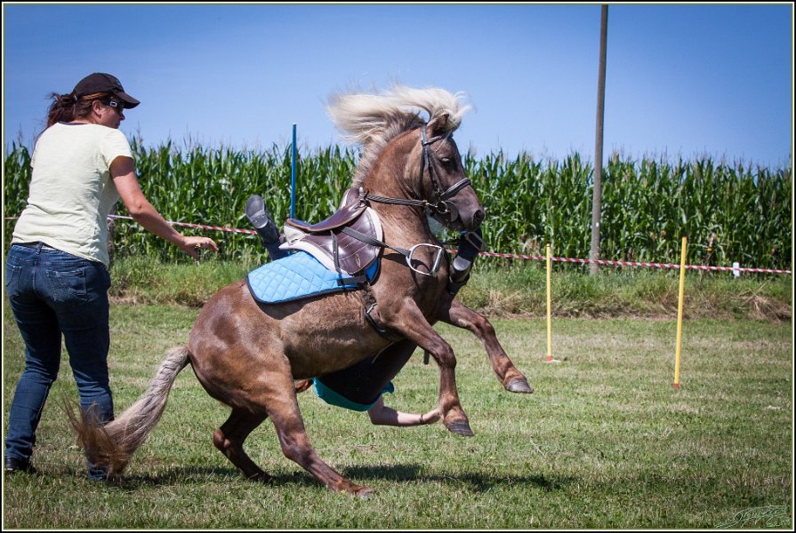 Mounted Games 112
